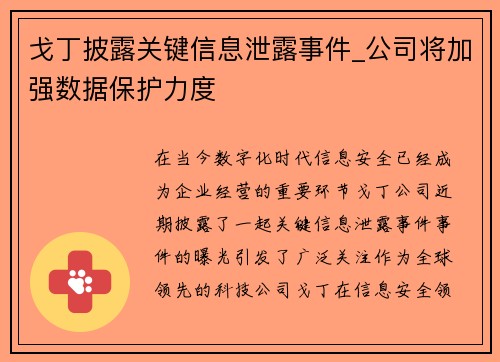 戈丁披露关键信息泄露事件_公司将加强数据保护力度