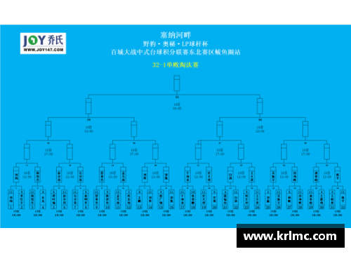 8868体育篮网逆转战胜猛龙，豪取连胜：不屈的精神点燃全场！